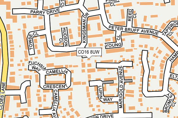 CO16 8UW map - OS OpenMap – Local (Ordnance Survey)