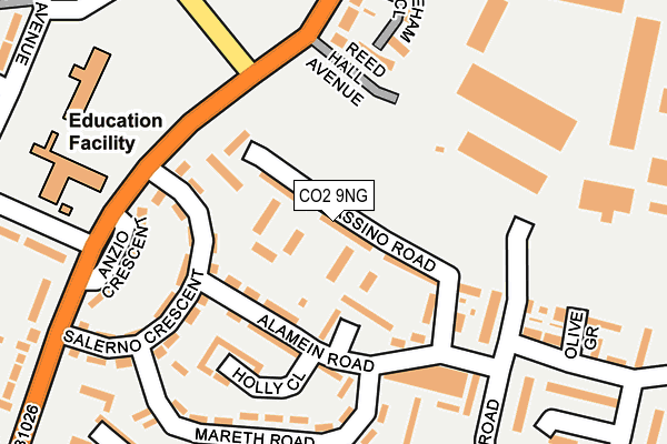 CO2 9NG map - OS OpenMap – Local (Ordnance Survey)