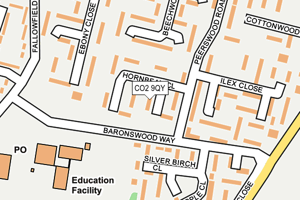 CO2 9QY map - OS OpenMap – Local (Ordnance Survey)