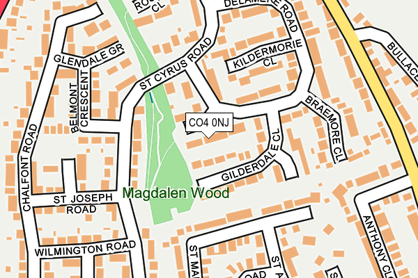 CO4 0NJ map - OS OpenMap – Local (Ordnance Survey)