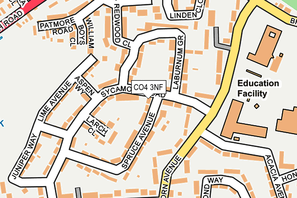 CO4 3NF map - OS OpenMap – Local (Ordnance Survey)