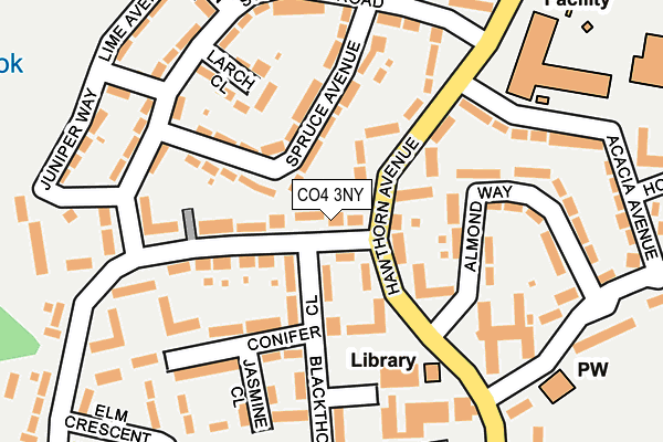 CO4 3NY map - OS OpenMap – Local (Ordnance Survey)