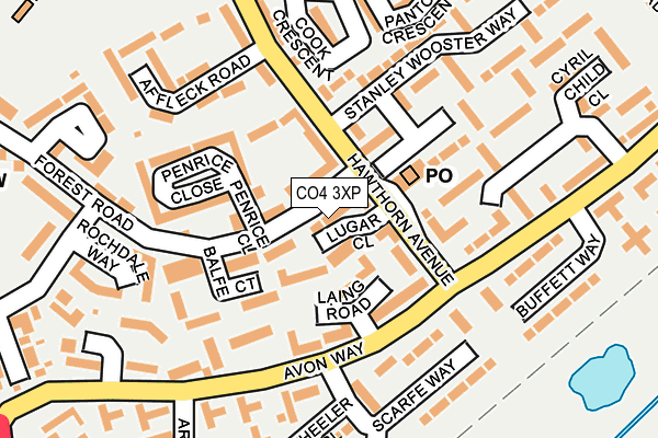 CO4 3XP map - OS OpenMap – Local (Ordnance Survey)