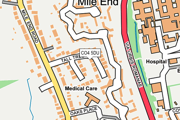 CO4 5DU map - OS OpenMap – Local (Ordnance Survey)