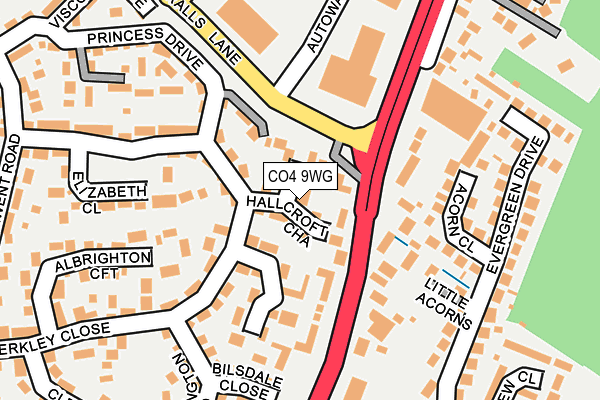 CO4 9WG map - OS OpenMap – Local (Ordnance Survey)