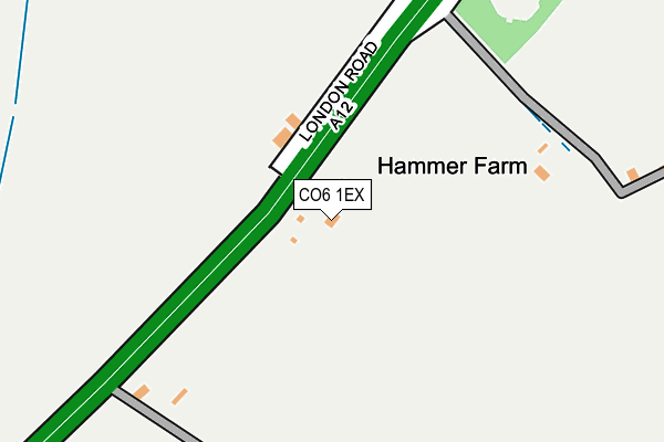 CO6 1EX map - OS OpenMap – Local (Ordnance Survey)