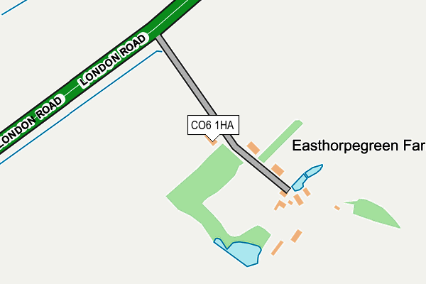 CO6 1HA map - OS OpenMap – Local (Ordnance Survey)