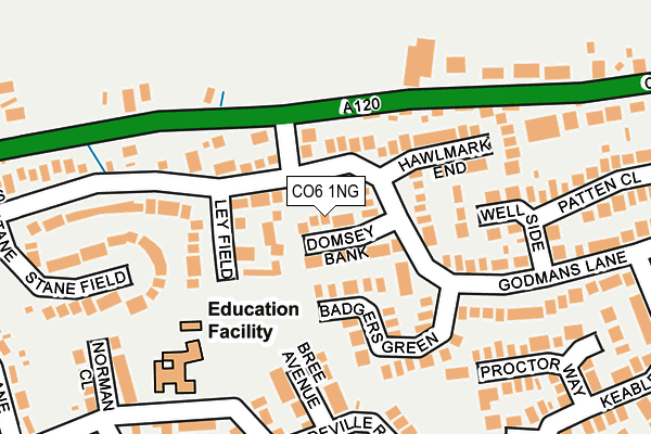 CO6 1NG map - OS OpenMap – Local (Ordnance Survey)