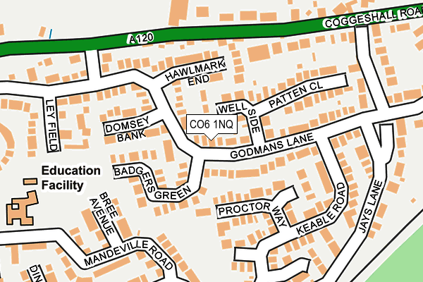 CO6 1NQ map - OS OpenMap – Local (Ordnance Survey)