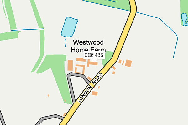 CO6 4BS map - OS OpenMap – Local (Ordnance Survey)