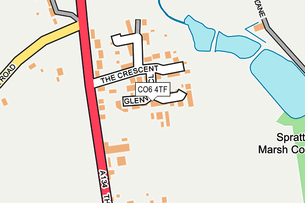 CO6 4TF map - OS OpenMap – Local (Ordnance Survey)