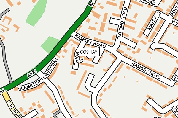 CO9 1AY map - OS OpenMap – Local (Ordnance Survey)