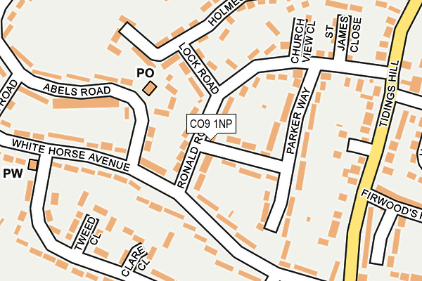 CO9 1NP map - OS OpenMap – Local (Ordnance Survey)