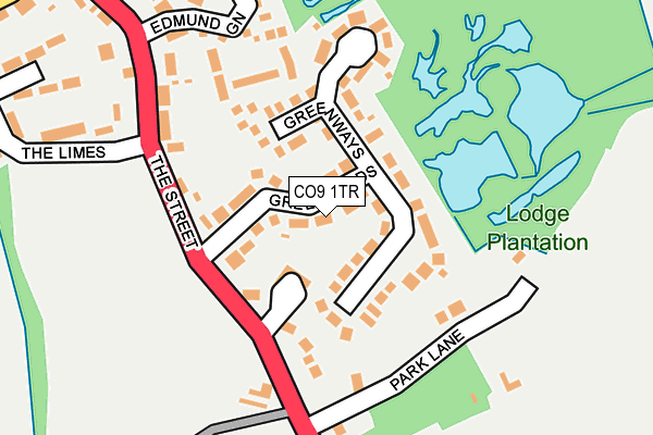 CO9 1TR map - OS OpenMap – Local (Ordnance Survey)