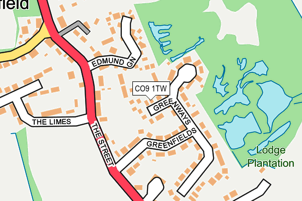 CO9 1TW map - OS OpenMap – Local (Ordnance Survey)
