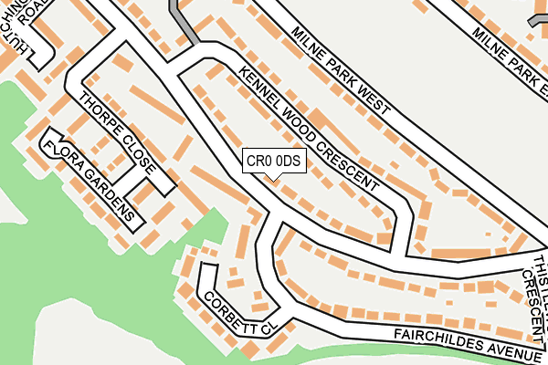 CR0 0DS map - OS OpenMap – Local (Ordnance Survey)