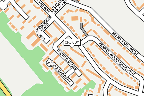 CR0 0DY map - OS OpenMap – Local (Ordnance Survey)
