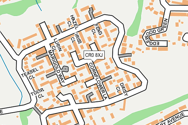 CR0 8XJ map - OS OpenMap – Local (Ordnance Survey)