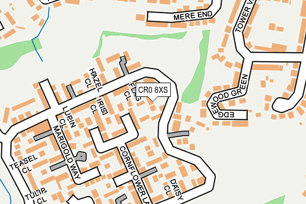 CR0 8XS map - OS OpenMap – Local (Ordnance Survey)