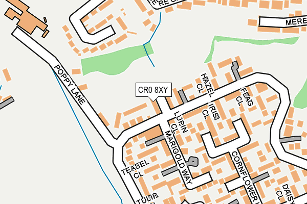 CR0 8XY map - OS OpenMap – Local (Ordnance Survey)