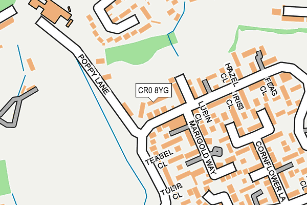 CR0 8YG map - OS OpenMap – Local (Ordnance Survey)