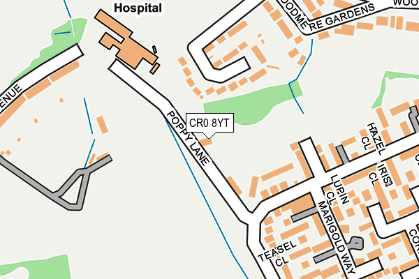 CR0 8YT map - OS OpenMap – Local (Ordnance Survey)