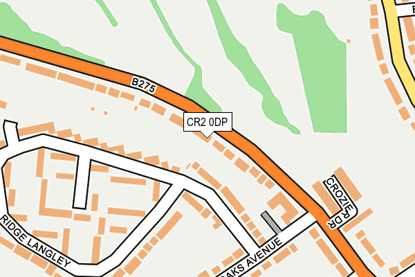 CR2 0DP map - OS OpenMap – Local (Ordnance Survey)
