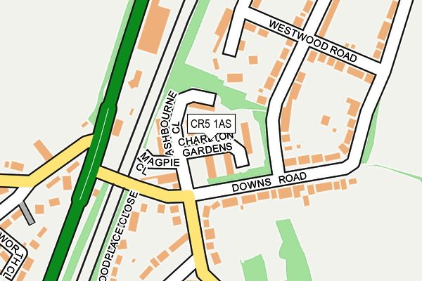 CR5 1AS map - OS OpenMap – Local (Ordnance Survey)