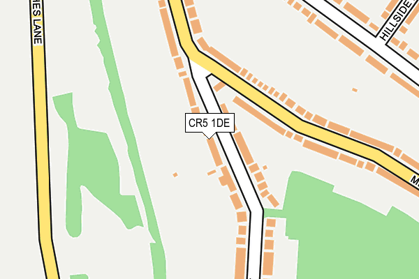 CR5 1DE map - OS OpenMap – Local (Ordnance Survey)