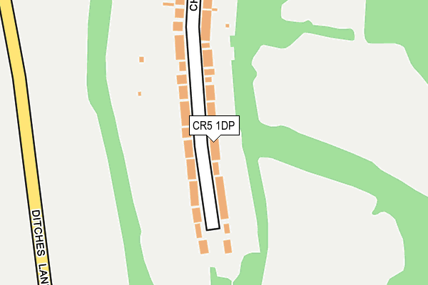 CR5 1DP map - OS OpenMap – Local (Ordnance Survey)