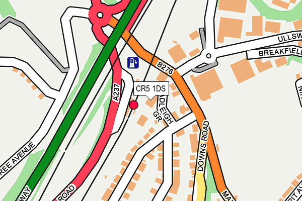 CR5 1DS map - OS OpenMap – Local (Ordnance Survey)