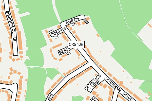 CR5 1JE map - OS OpenMap – Local (Ordnance Survey)