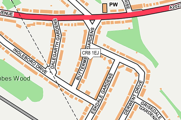 CR8 1EJ map - OS OpenMap – Local (Ordnance Survey)
