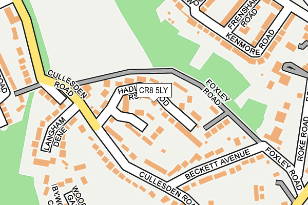 CR8 5LY map - OS OpenMap – Local (Ordnance Survey)