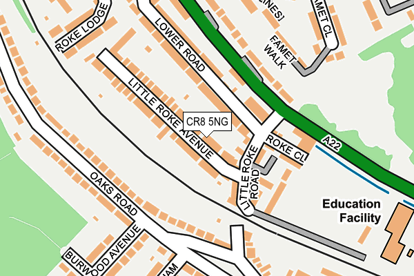 CR8 5NG map - OS OpenMap – Local (Ordnance Survey)