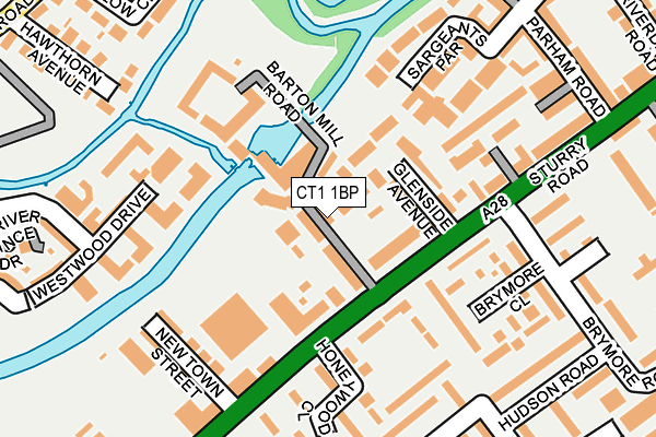 CT1 1BP map - OS OpenMap – Local (Ordnance Survey)