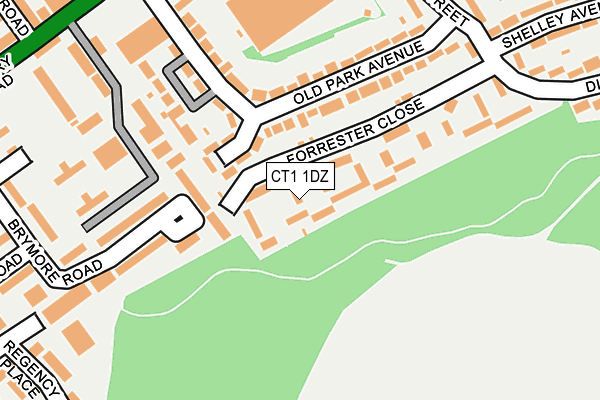 CT1 1DZ map - OS OpenMap – Local (Ordnance Survey)