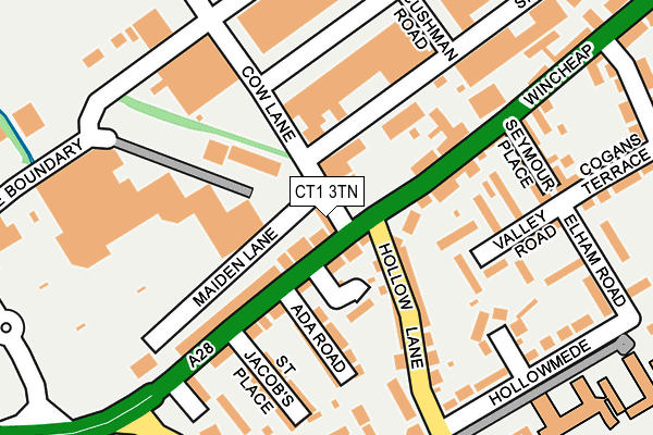 CT1 3TN map - OS OpenMap – Local (Ordnance Survey)