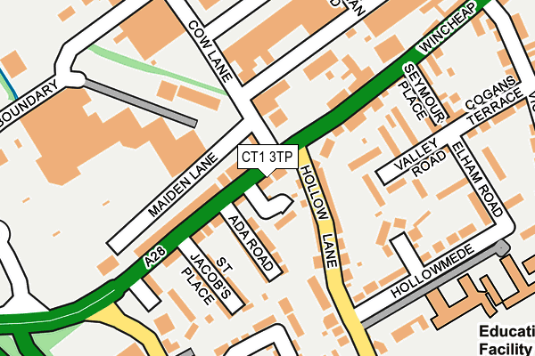 CT1 3TP map - OS OpenMap – Local (Ordnance Survey)