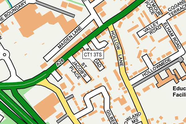 CT1 3TS map - OS OpenMap – Local (Ordnance Survey)