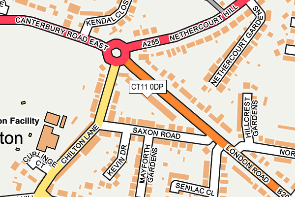 CT11 0DP map - OS OpenMap – Local (Ordnance Survey)