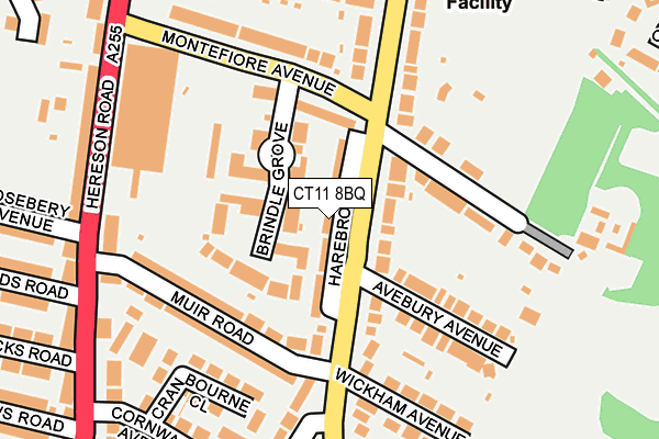 CT11 8BQ map - OS OpenMap – Local (Ordnance Survey)
