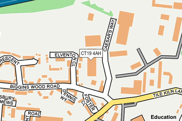 CT19 4AH map - OS OpenMap – Local (Ordnance Survey)