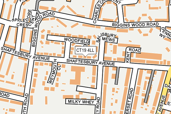 CT19 4LL map - OS OpenMap – Local (Ordnance Survey)