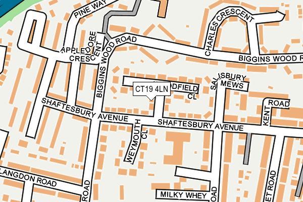 CT19 4LN map - OS OpenMap – Local (Ordnance Survey)