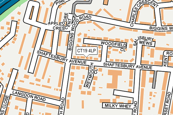 CT19 4LP map - OS OpenMap – Local (Ordnance Survey)