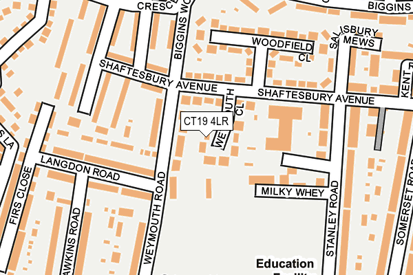 CT19 4LR map - OS OpenMap – Local (Ordnance Survey)