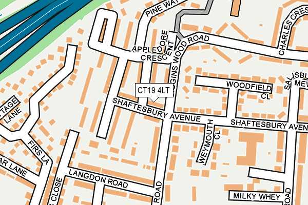 CT19 4LT map - OS OpenMap – Local (Ordnance Survey)