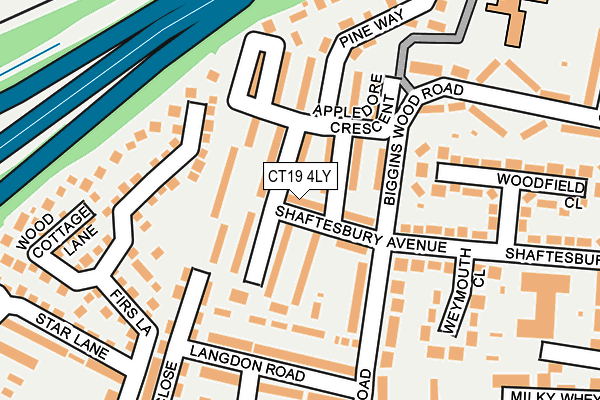 CT19 4LY map - OS OpenMap – Local (Ordnance Survey)