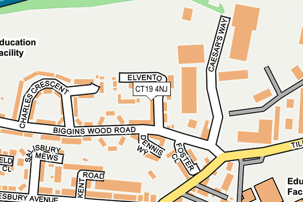 CT19 4NJ map - OS OpenMap – Local (Ordnance Survey)